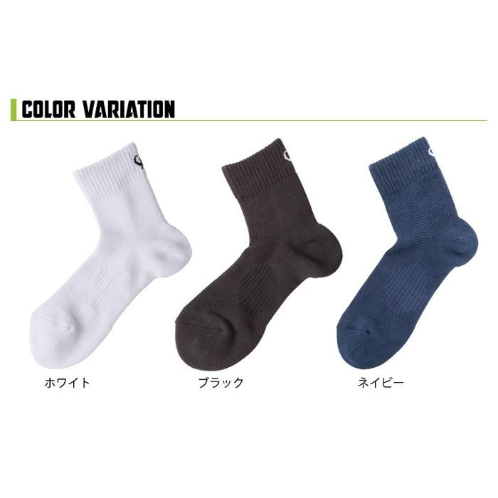 Phiten（ファイテン） スポーツソックス セミロング 2足セット メール
