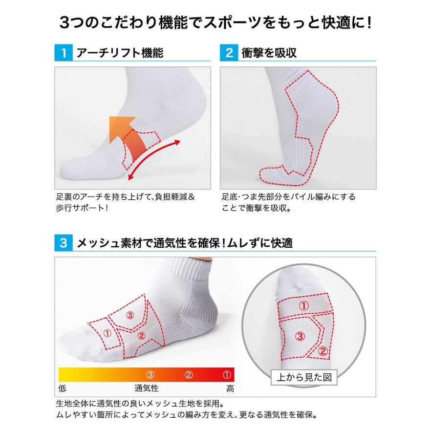 Phiten（ファイテン） スポーツソックス セミロング 2足セット メール