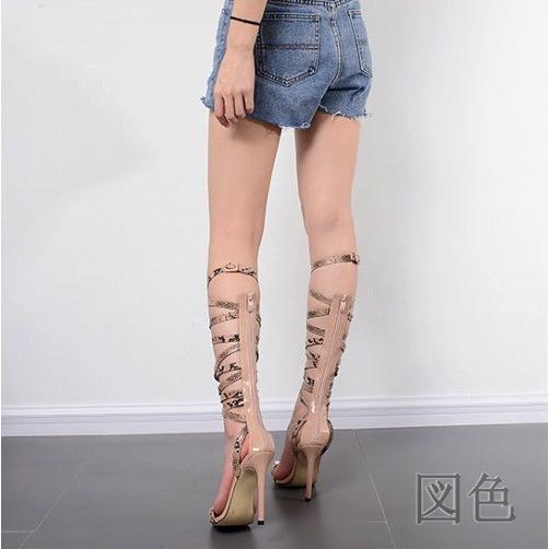 リトグラフ ジョアン・フック 限定 直筆サイン 熱帯雨林 鳥 ケアンズ