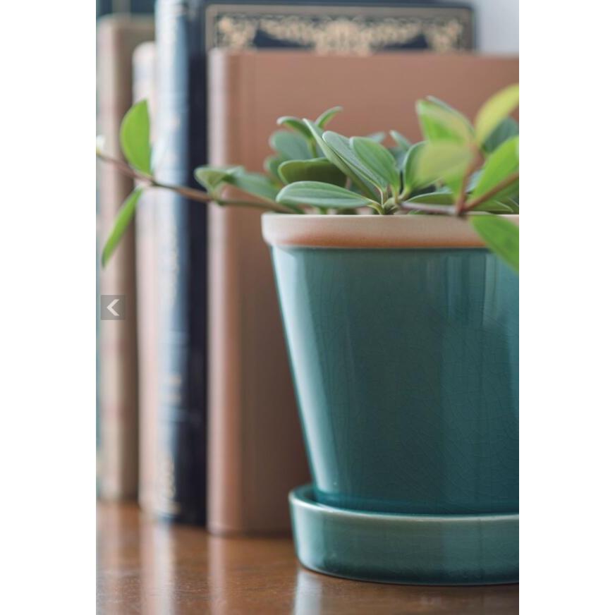 植木鉢 おしゃれ 陶器鉢 フラワーポット パステルカラー カラフル 皿