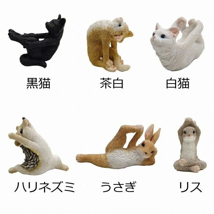 YOGAアニマル ヨガ 動物 猫 ねこ ネコ cat キャット ぶた ひつじ