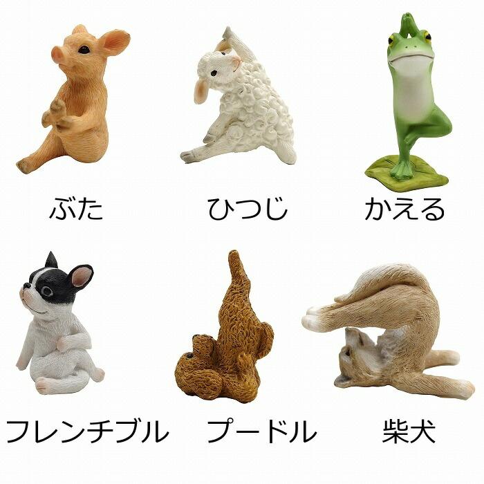 YOGAアニマル ヨガ 動物 猫 ねこ ネコ cat キャット ぶた ひつじ