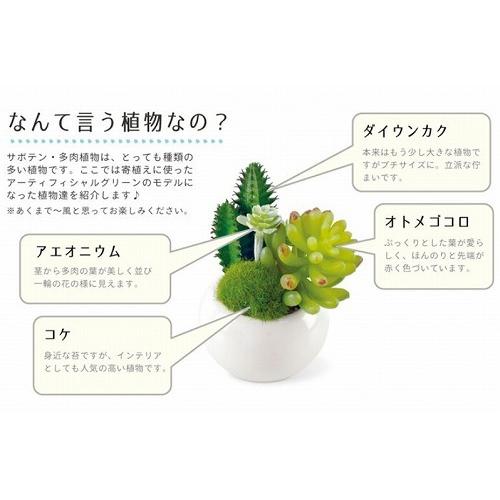 キシマ（KISHIMA） サキュレントリフレリウム 消臭アーティフィシャル