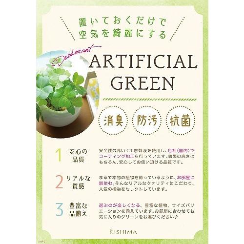 さぼてん キシマ（KISHIMA） サキュレントリフレリウム 消臭アーティフィシャル