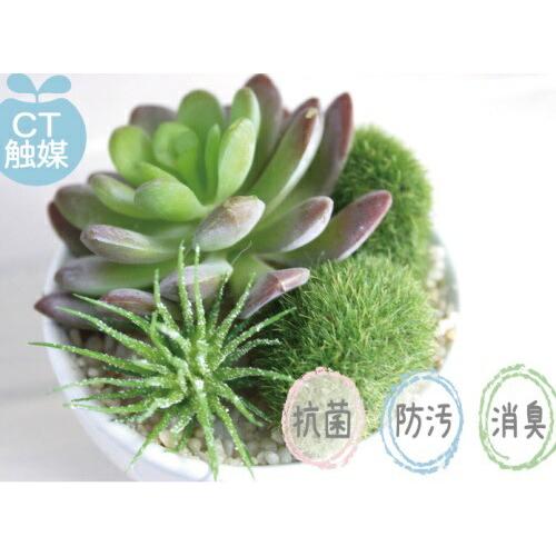 専用ページです キシマ（KISHIMA） サキュレントリフレリウム 消臭アーティフィシャル