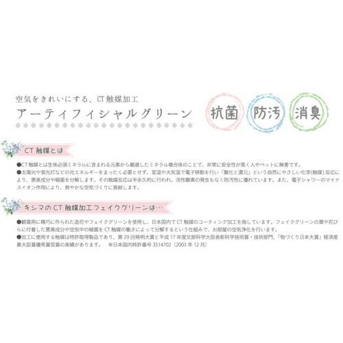 キシマ サキュレントリフレリウム 消臭アーティフィシャルグリーン