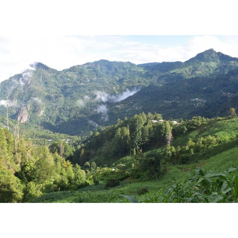 厳選シングルオリジンコーヒー豆「ホンジュラス エル・シエロ・デ・セルグァパ」（フレンチロースト・200g）／自家焙煎スペシャルティコーヒー珈琲豆 | 