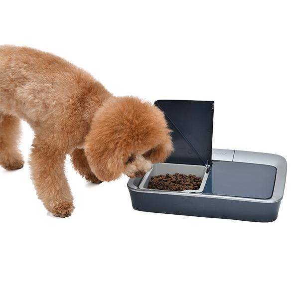 PetSafe 2食分の自動給餌器 ペットセーフ おるすばんフィーダー