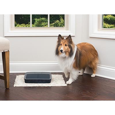 PetSafe 2食分の自動給餌器 ペットセーフ おるすばんフィーダー