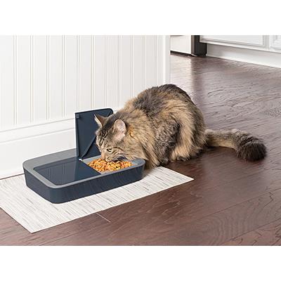 PetSafe 2食分の自動給餌器 ペットセーフ おるすばんフィーダー