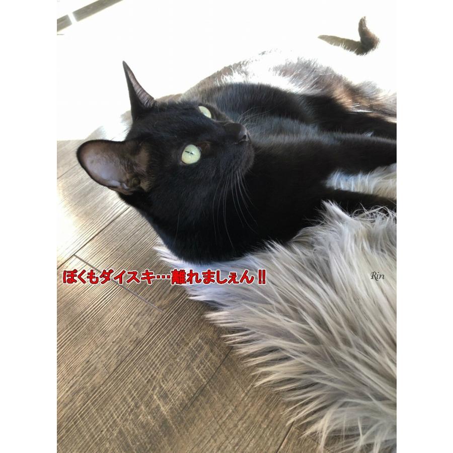 座布団　マット ラグ 毛皮　クッション　シルバーフォックス　高級　2枚セット ラグ 洗える マット 座布団 ふわふわ ハート フェイクファー