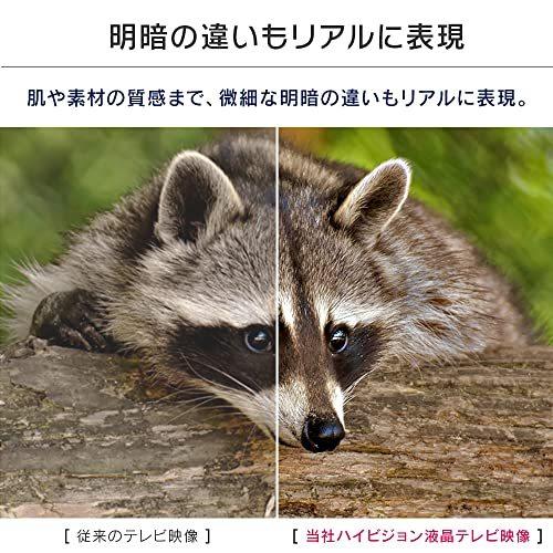 アイリスオーヤマ ハイビジョン液晶テレビ 24V型 ブラック LT-24B320 LT 24B320