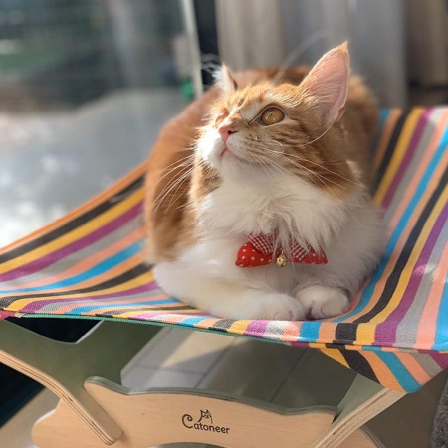 一生モノの猫ハンモック替え布 Catoneer キャットハンモック生地のみ 単体販売 交換用 予備 洗える 猫 キャット ハンモック ねこハンモック Catoneerawningredcol1 Anschluss 通販 Yahoo ショッピング