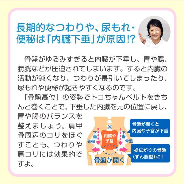 トコちゃんベルト２(L)【青葉正規品】妊娠中 産前産後・骨盤矯正・腰痛に★骨盤ベルト★｜anshin-box｜05