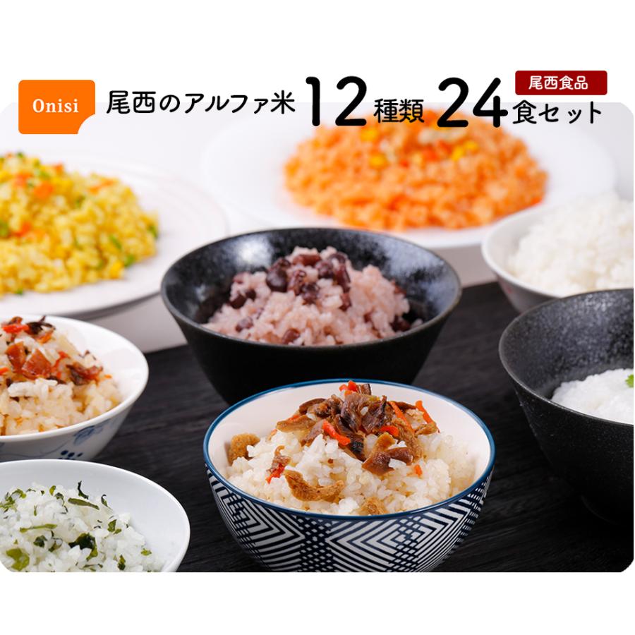非常食 非常食セット 保存食 防災セット アルファ米 防災食 保存食 5年 防災グッズ 食料 尾西食品 アルファ米 5年保存 尾西のアルファ米 24食セット 12種類×2袋
