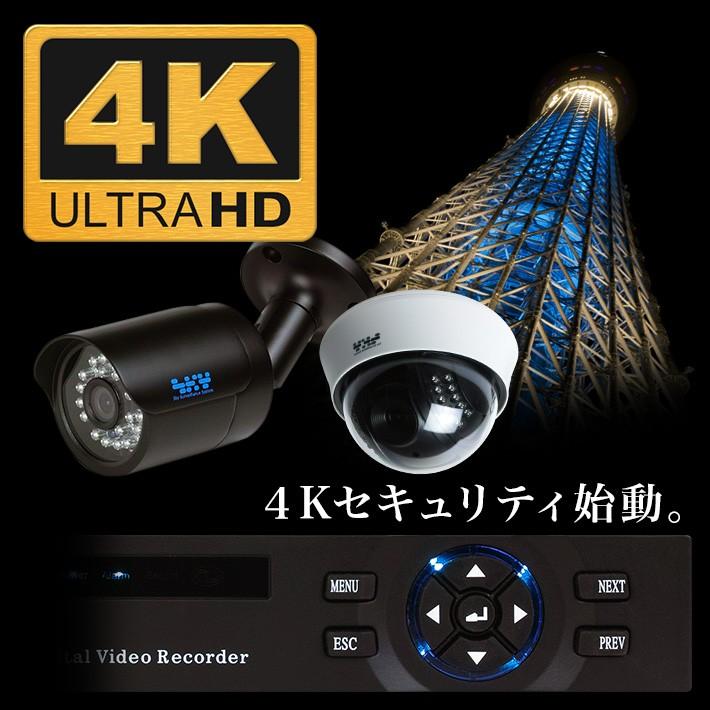 AI搭載 防犯カメラ 800万画素 赤外線暗視 レコーダーセット 屋外防水