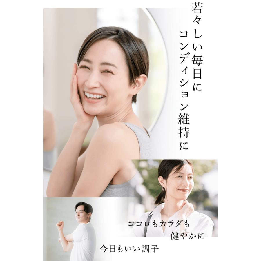 DHC 【リニューアル】DHC コエンザイムQ10 還元型 30 日分【機能性表示
