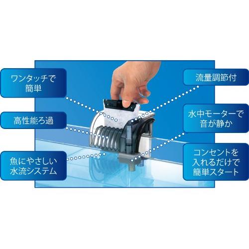 最大71 Offクーポン テトラ Tetra オートワンタッチフィルター At 適合水槽 15 32ｃｍ用 外掛けフィルター アクアリウム 熱帯魚 メダカ 金魚 Www Bridetobe Lv