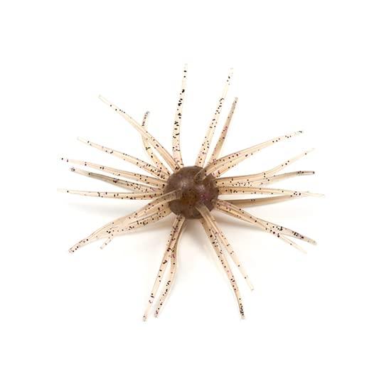 コイケ17mm クリリンキントキの新品・未使用品・中古品|Yahoo コイケ17mm クリリンキントキの新品・未使用品・中古品|Yahoo