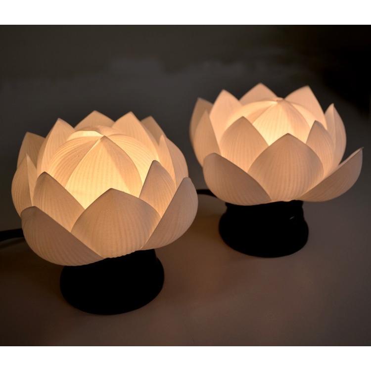 ゴ*ン様 ✳︎お盆企画✳︎豪華３1枚セット✳︎説明欄を要チェック✳︎ジャパレゲ hasegawa-online_4532422853729