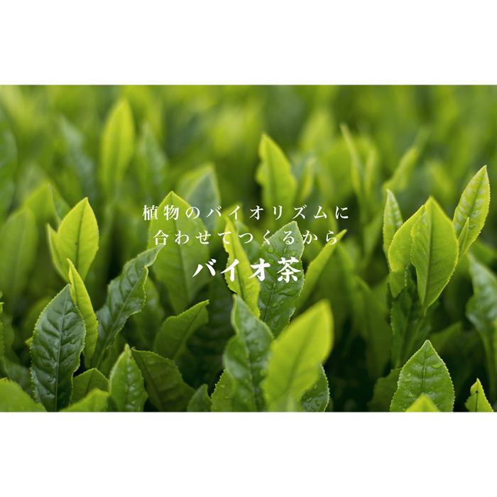 バイオ茶 宮崎上水園 60g 20パック×2袋 無農薬 一番茶 水出し カテキン | 上水園 | 01