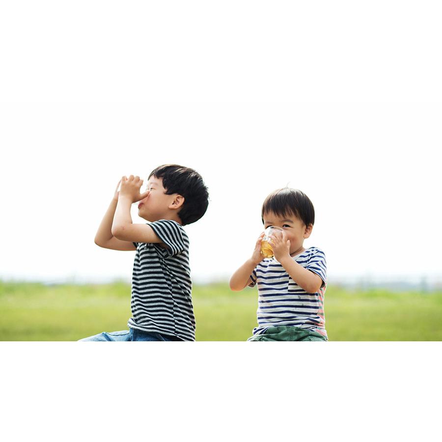 バイオ茶 宮崎上水園 60g 20パック×2袋 無農薬 一番茶 水出し カテキン | 上水園 | 06