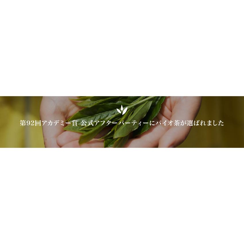 バイオ茶 宮崎上水園 60g 20パック×2袋 無農薬 一番茶 水出し カテキン | 上水園 | 07