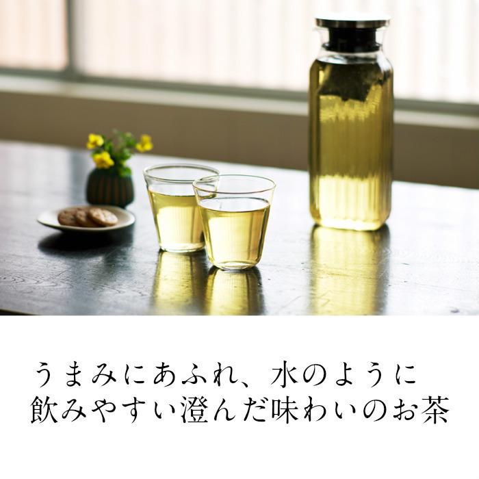 上水園 バイオ茶 宮崎上水園 300g 3g×100パック 無農薬 緑茶 お茶