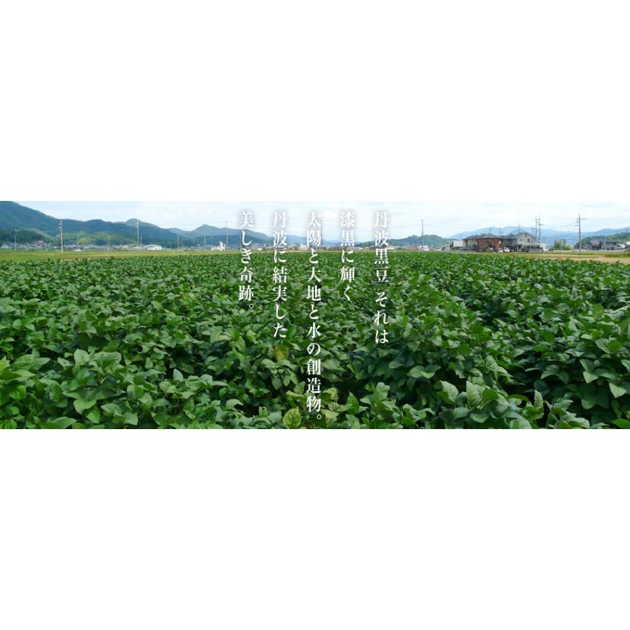 丹波黒大豆3L 150g 3袋 丹波の宝玉 黒豆 生豆 大粒 国産 京都府産 おせち 令和6年産 | ブランド登録なし | 05