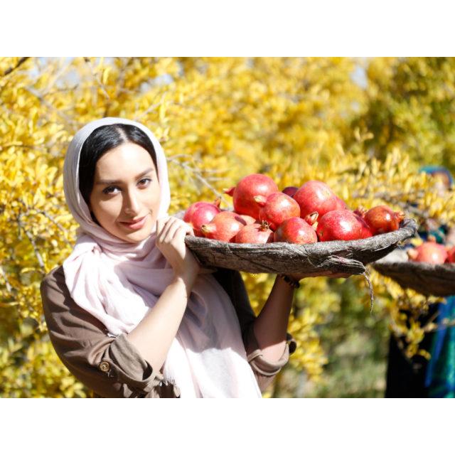 ニニ nini ザクロペースト 200g 2個 ペルシャンザクロ100％ イラン 無