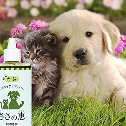 ささの恵 100g 2 ペット用熊笹エキス 犬 ネコ 北のささ ネコポス送料無料 Ss100 2 お酢 お茶 サプリ お酢のこうずや 通販 Yahoo ショッピング