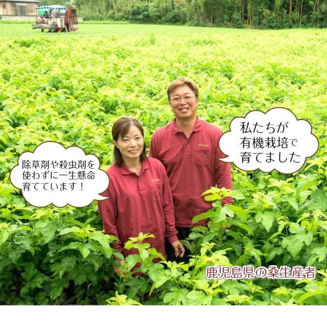 YOSA 青万葉 4個セット 送料無料】ガラスワイパージャンボセット |おそうじのことならアズマ
