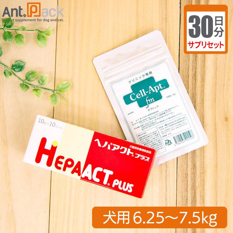20セット Hyperloop-like diffusion of long-chain molecules under
