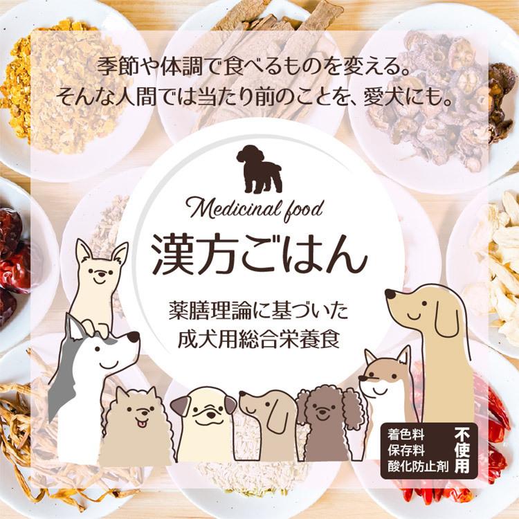 ピリカ薬膳 げんかつごはん（旧漢方ごはん）「木」鶏肉 犬用 80g×10袋