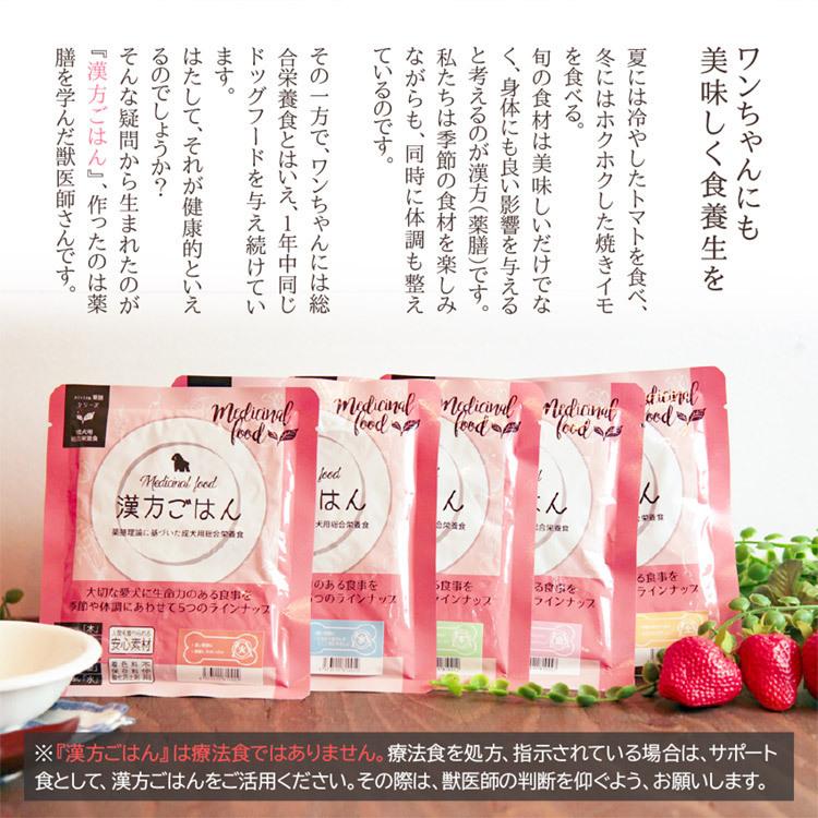 ピリカ薬膳 げんかつごはん（旧漢方ごはん） 「木」鶏肉 犬用 80g×5袋