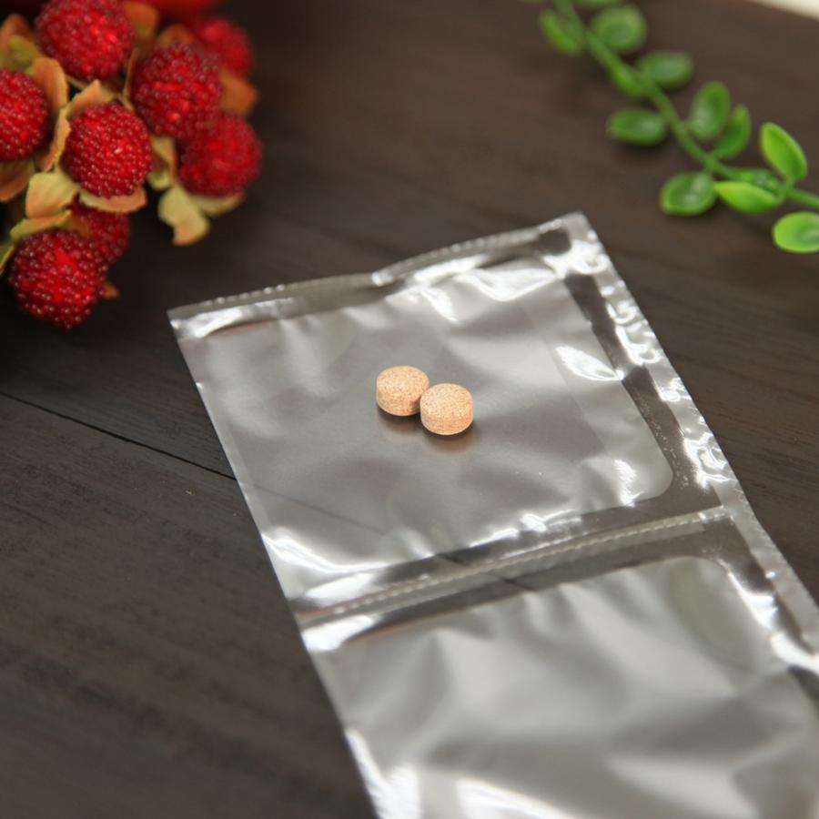 プロヘパフォスM (中型・大型犬用） 体重6kg〜14kg 1日1粒30日分 : Ant