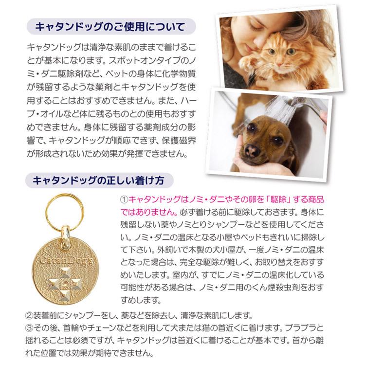 ノミ・ダニ予防 キャタンドッグ 犬猫用（送料無料） : Ant.Pack獣医師