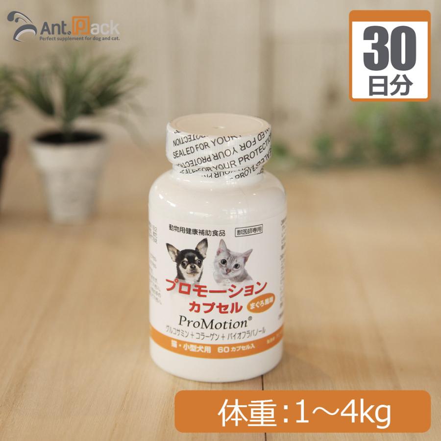 ファッション通販 プロモーションカプセル 犬猫用 体重1kg 4kg 1日1カプセル30日分 Pmajk Gov Pk