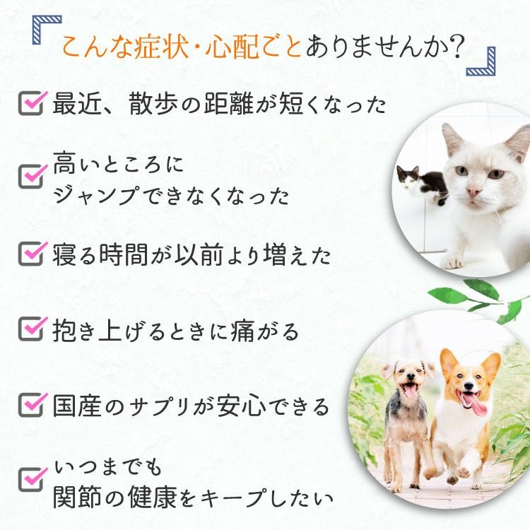 グルコサミン350 犬猫用 体重2.5kg〜5kg 1日1粒30日分 : Ant.Pack獣
