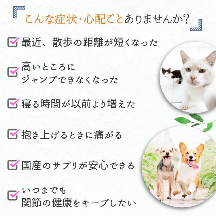 グルコサミン３５０  犬猫用 体重2.5kg〜5kg 1日1粒30日分｜ant-pack｜06