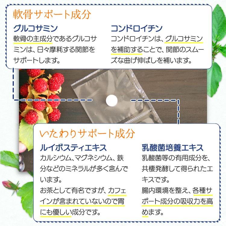 グルコサミン３５０  犬猫用 体重2.5kg〜5kg 1日1粒30日分｜ant-pack｜08