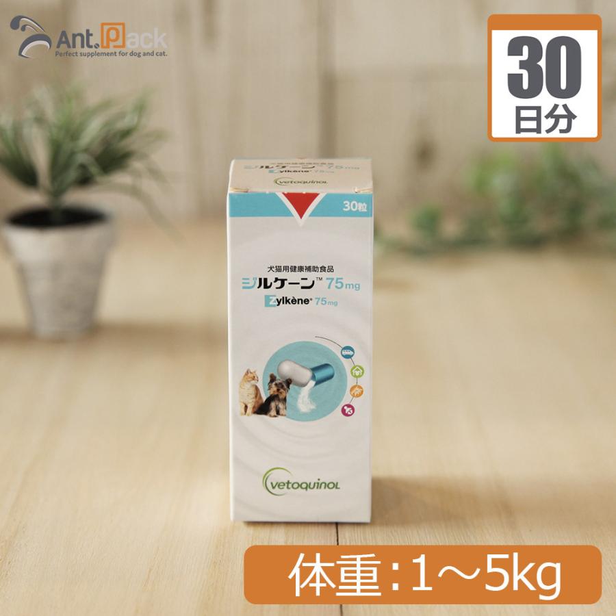 ジルケーン 75mg 犬猫用 体重1kg〜5kg 1日1カプセル30日分｜ant-pack