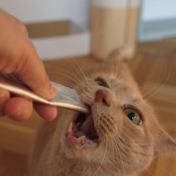 国産ペーストおやつ 犬猫用にゃめろう まぐろ味 (10g×10本)［ネコポス発送］8点まで(50143) |  | 03