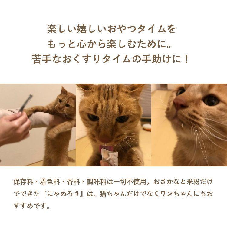 国産ペーストおやつ 犬猫用にゃめろう まぐろ味 (10g×10本)［ネコポス発送］8点まで(50143) |  | 06
