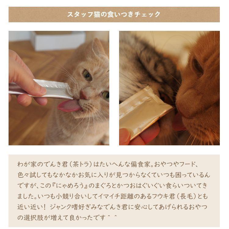 国産ペーストおやつ 犬猫用にゃめろう まぐろ味 (10g×10本)［ネコポス発送］8点まで(50143) |  | 07