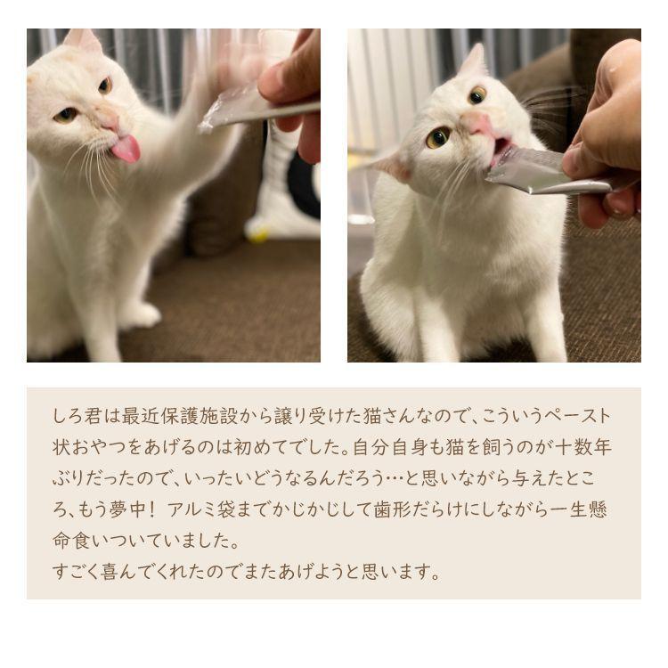 国産ペーストおやつ 犬猫用にゃめろう まぐろ味 (10g×10本)［ネコポス発送］8点まで(50143) |  | 08
