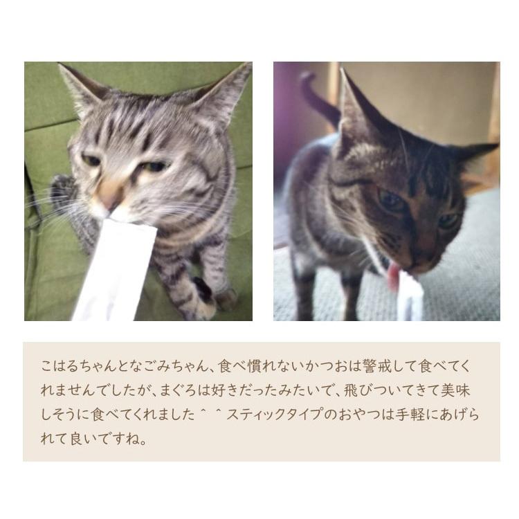 国産ペーストおやつ 犬猫用にゃめろう まぐろ味 (10g×10本)［ネコポス発送］8点まで(50143) |  | 09