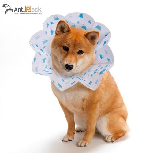HARIO（ハリオ） コンパクトエリザベスカラー エリコ M 1個入（柴犬