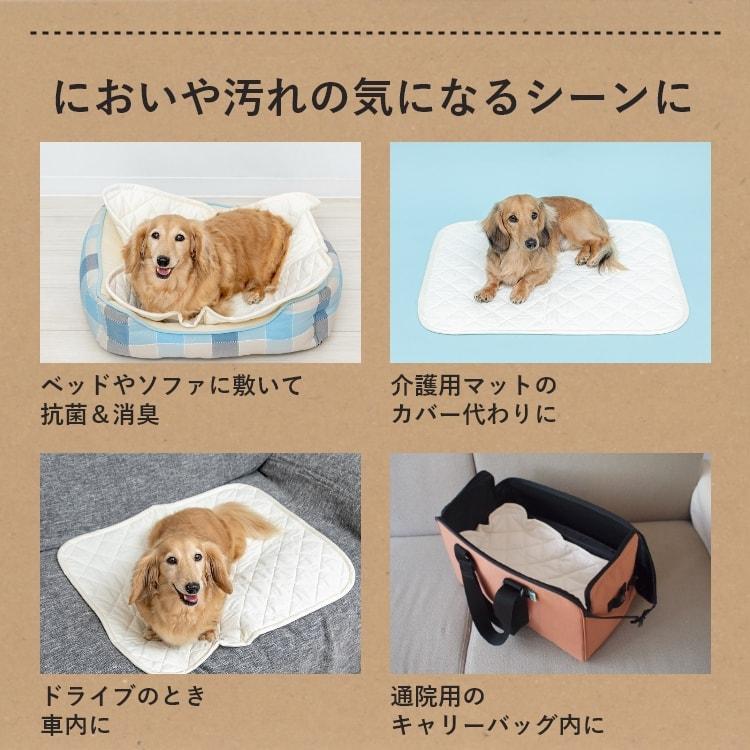 ベッドにも使える消臭マット　約30×50センチ　まとめて5枚セット(12) Happy Days ベッドにも使える消臭マット Sサイズ 犬猫用(49000) : Ant