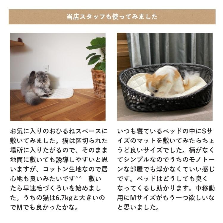 Happy Days ベッドにも使える消臭マット Sサイズ 犬猫用(49000) : Ant